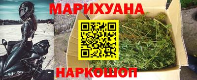 гашик Дубна