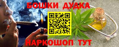 гашик Дубна