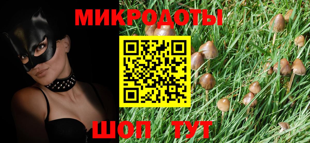 Псилоцибиновые грибы GOLDEN TEACHER  закладки  Вичуга  Вход с VPN 