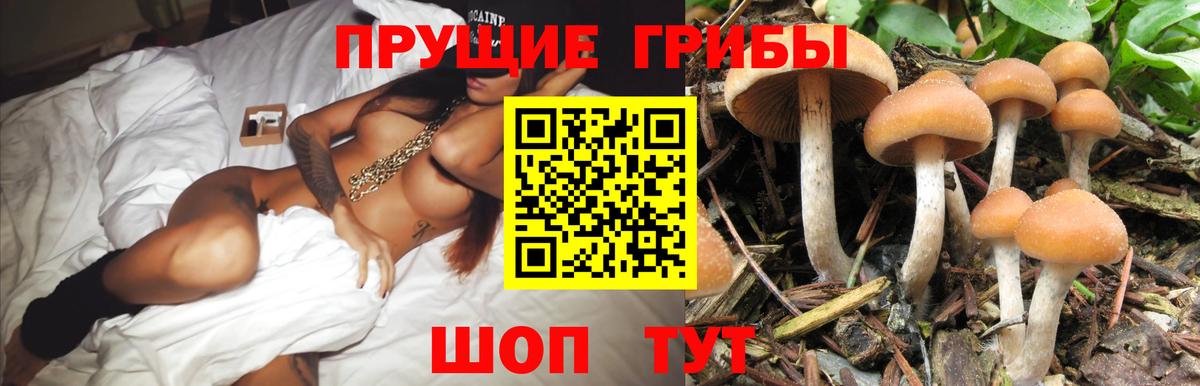 Галлюциногенные грибы мухоморы Вичуга